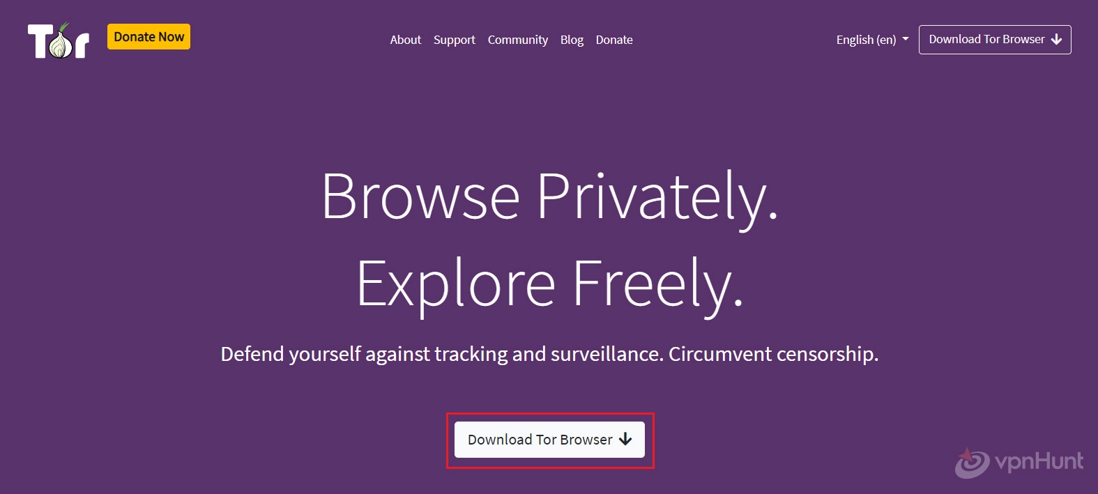 how to hide ip address on iphone