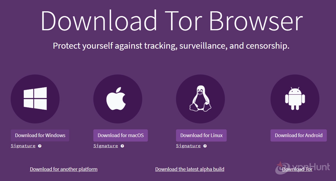 does vpn hide ip